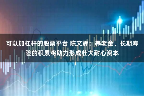 可以加杠杆的股票平台 陈文辉：养老金、长期寿险的积累将助力形成壮大耐心资本