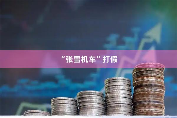 “张雪机车”打假
